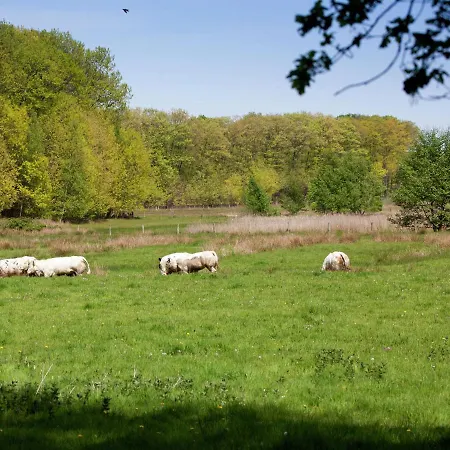 Magnificent Farmhouse In Sint Joost Holiday home