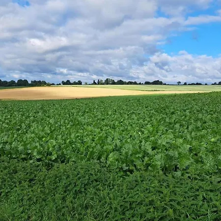 In With Pool & Bbq Sint Joost