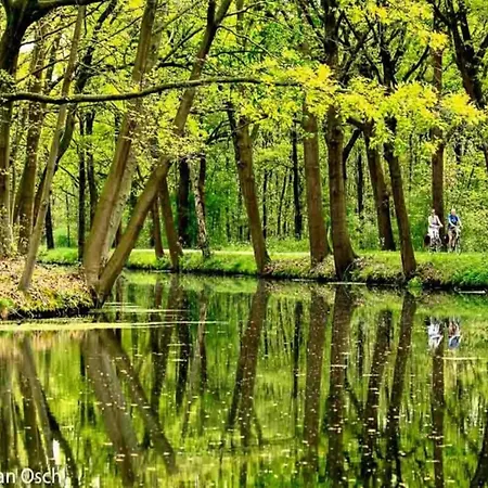 In With Pool & Bbq Sint Joost