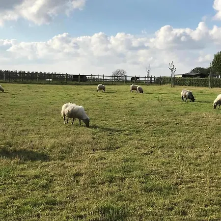 度假居 In With Pool & Bbq Sint Joost