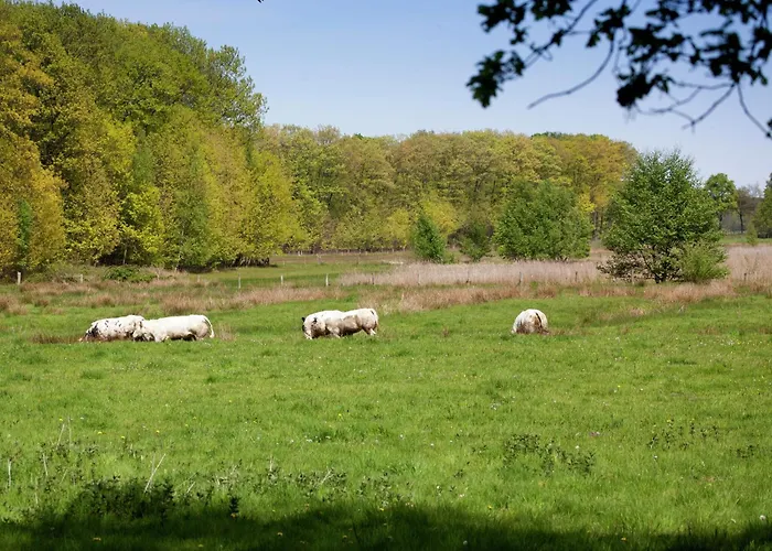 Holiday home Farmhouse In Sint Joost With Pool & Bbq Sint Joost