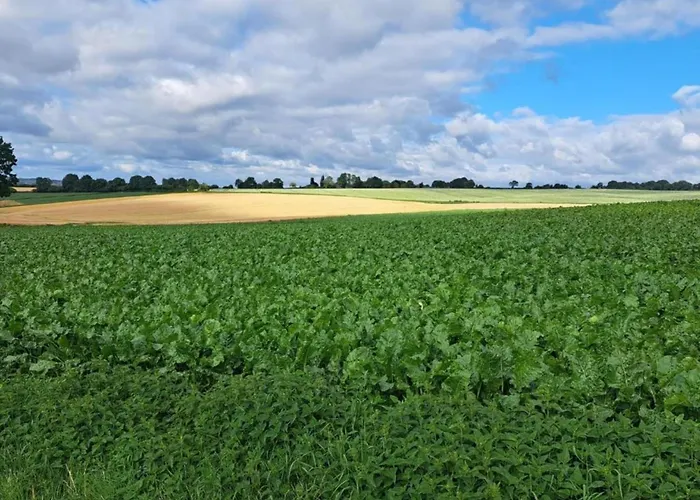 Farmhouse In Sint Joost With Pool & Bbq Sint Joost