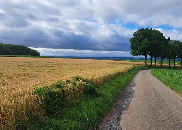 Farmhouse In Sint Joost With Pool & Bbq Holiday home *