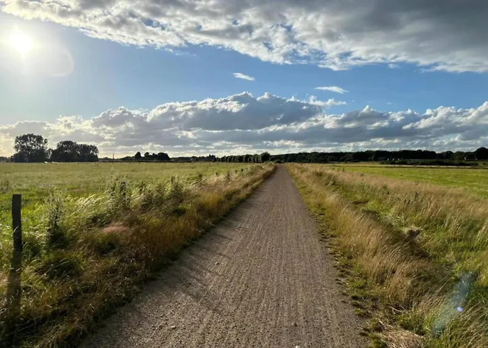 Holiday home Farmhouse In Sint Joost With Pool & Bbq