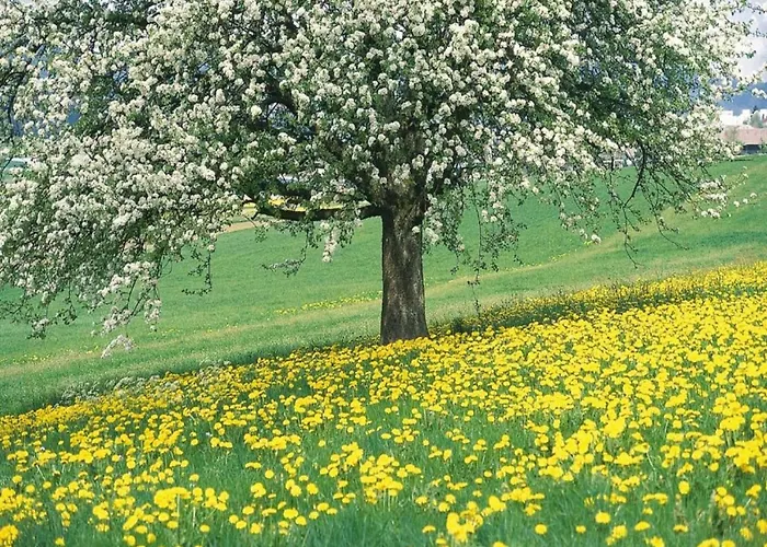 Farmhouse In Sint Joost With Pool & Bbq * Sint Joost