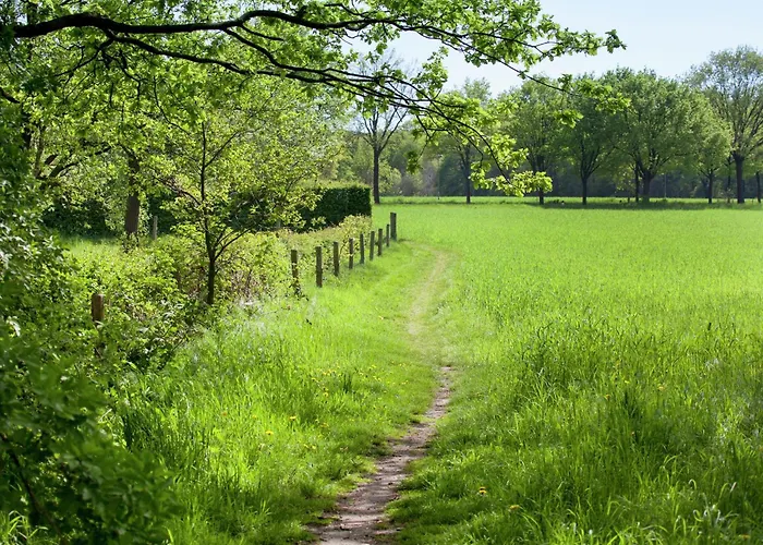 In With Pool & Bbq Сasa de vacaciones *