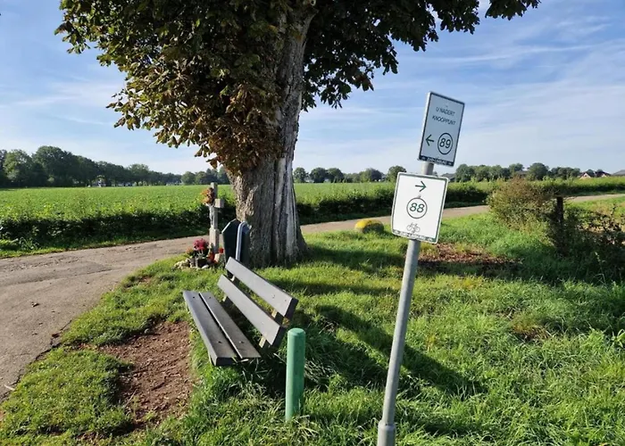 In With Pool & Bbq Sint Joost