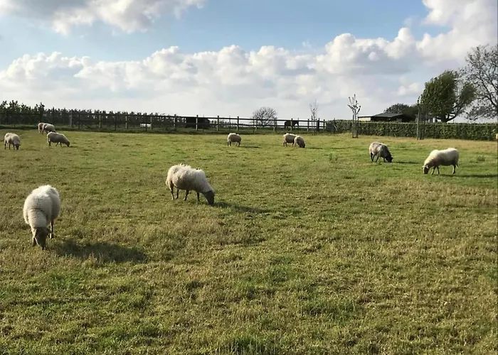 Сasa de vacaciones In With Pool & Bbq Sint Joost